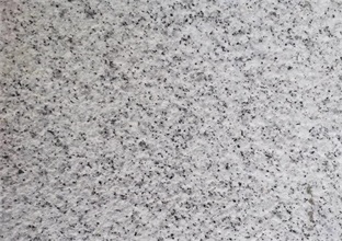 1669617685285037.jpg 222.jpg